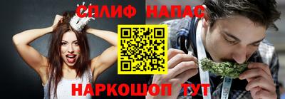 твердый Гай